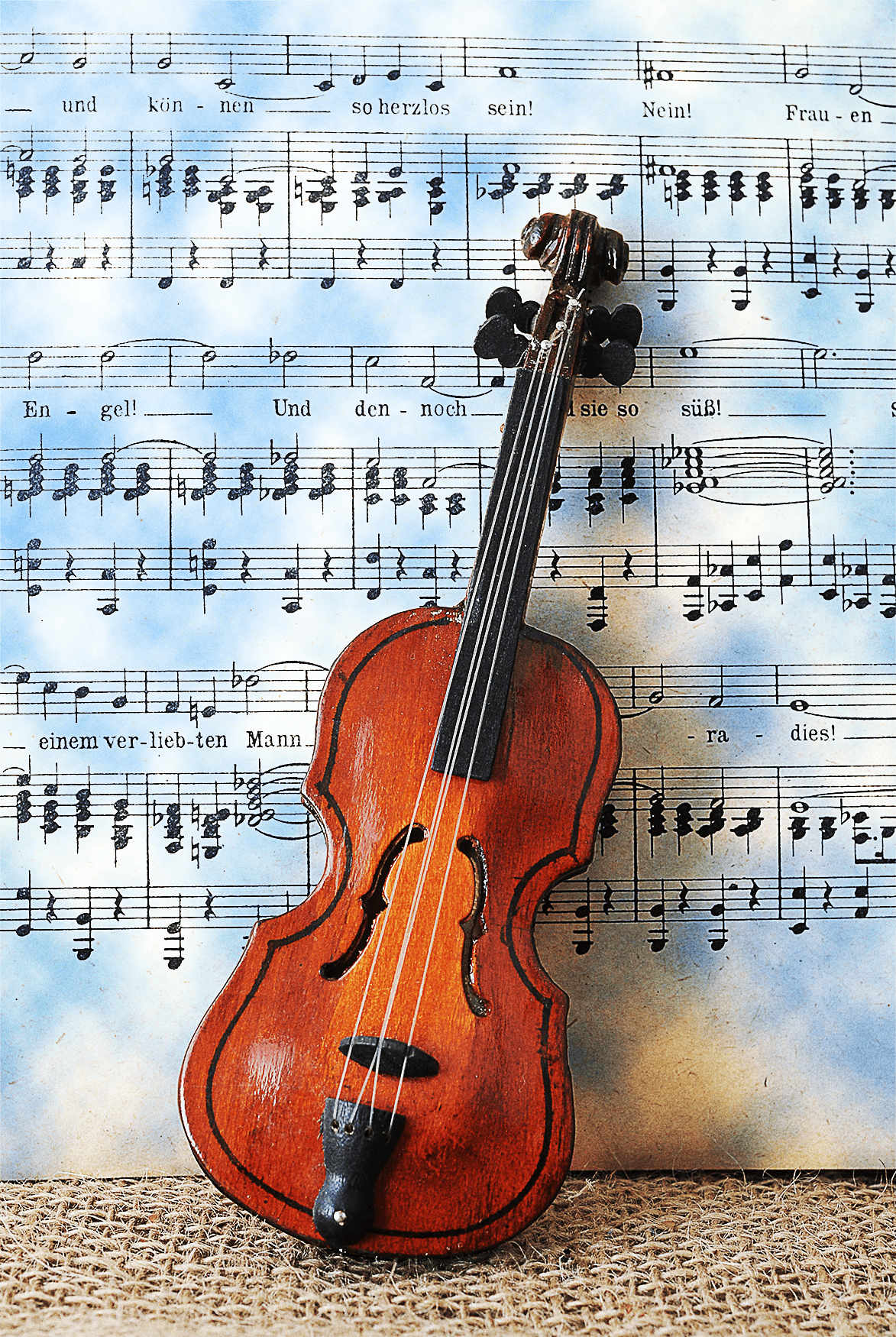 Violin